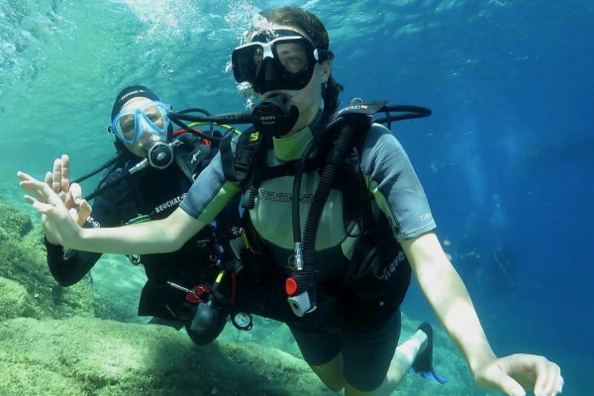 First Dive - Bonjour Fun