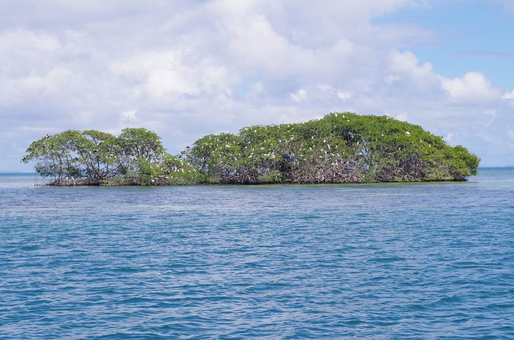 Ilet Caret journée adulte to - Bonjour Fun