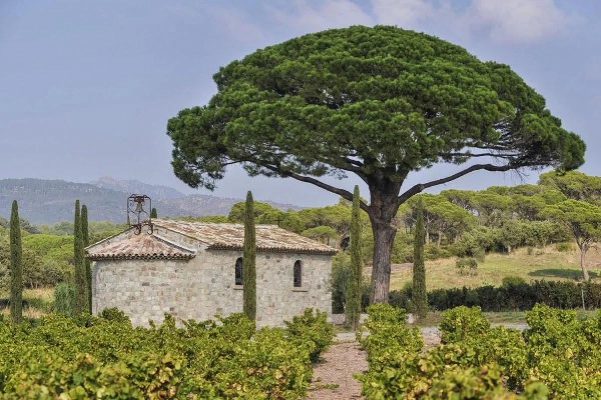 Le Clos des Roses - Guided tour and wine tasting - Bonjour Fun