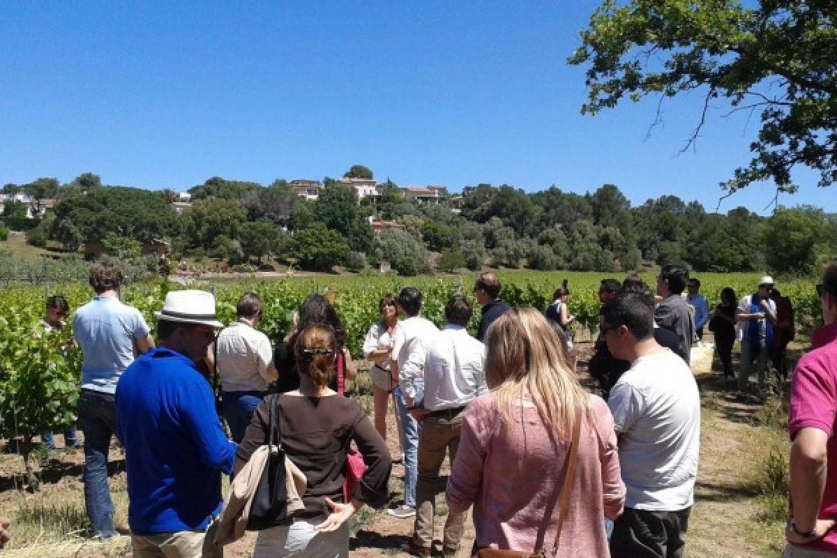 Le Clos des Roses - Guided tour and wine tasting - Bonjour Fun