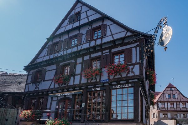 The Little Winegrower's Train - Bonjour Fun