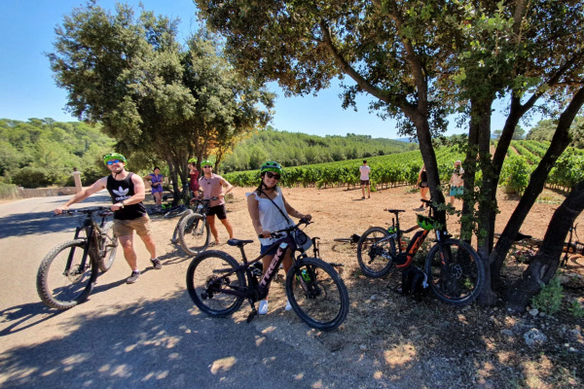 Vineyards by Bike - Full Day Private Tour - Bonjour Fun