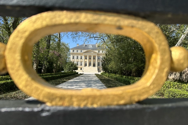 The Ultimate wine tour for 1855 classified chateaux - Bonjour Fun