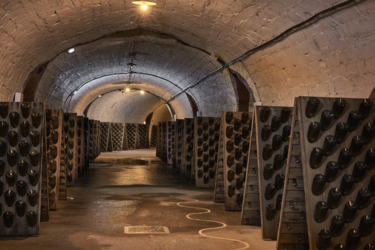 Léonie Tour - Bonjour Fun