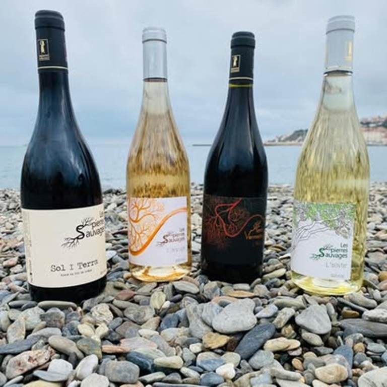 Visite + dégustation - Bonjour Fun