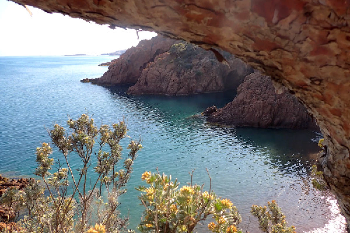 Esterel's Aquatic treasures - Bonjour Fun