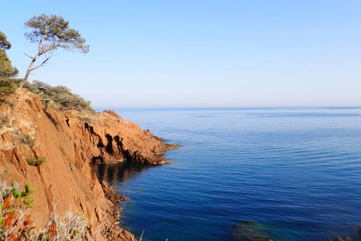 Esterel's Aquatic treasures - Bonjour Fun