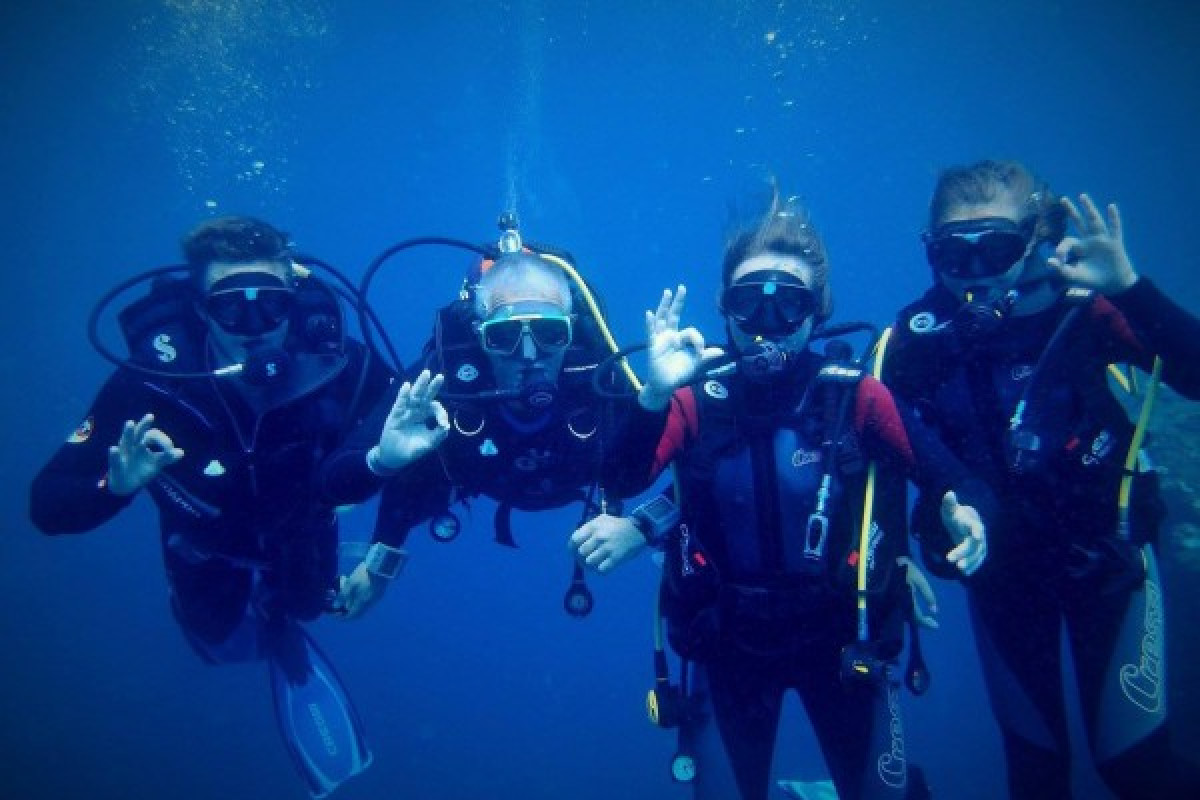 Level 1 Training - Bonjour Fun