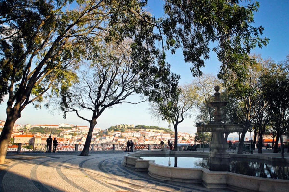 Lisbon Viewpoints Tuk Tuk Tour - Bonjour Fun