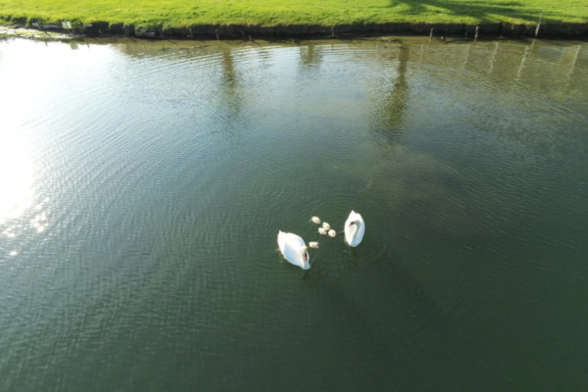 License-free boat rental on the Siagne river - Bonjour Fun