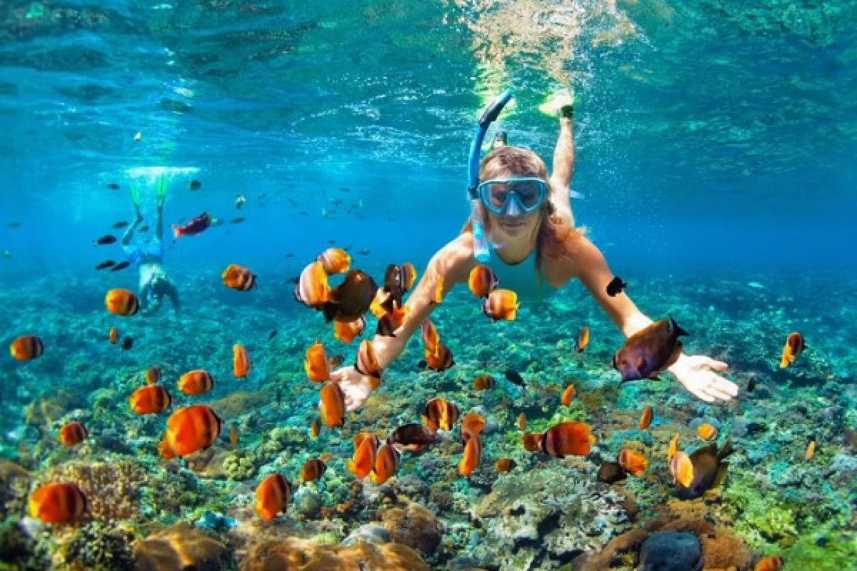 Snorkeling - Bonjour Fun