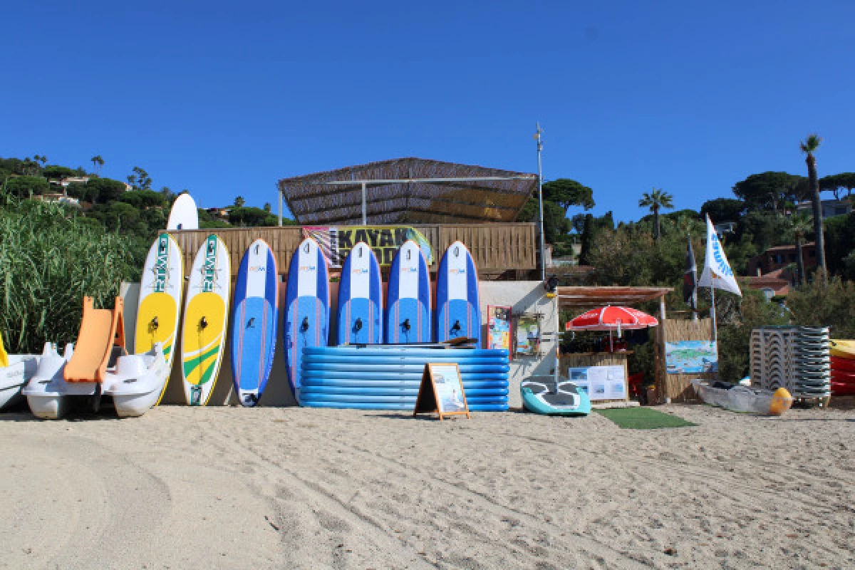 Transparent stand up paddle rental - Bonjour Fun