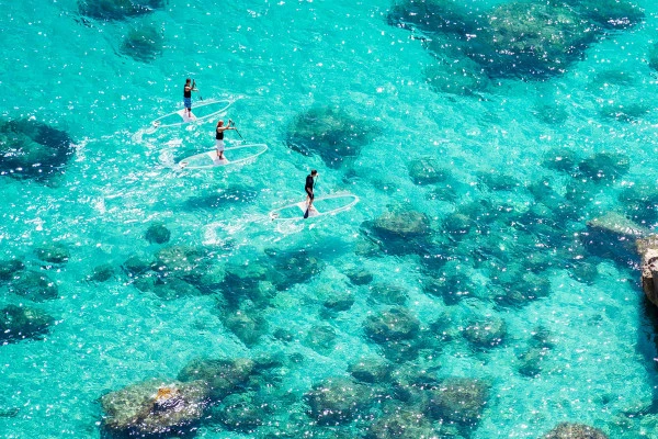 Transparent Stand Up Paddle Rental - Bonjour Fun