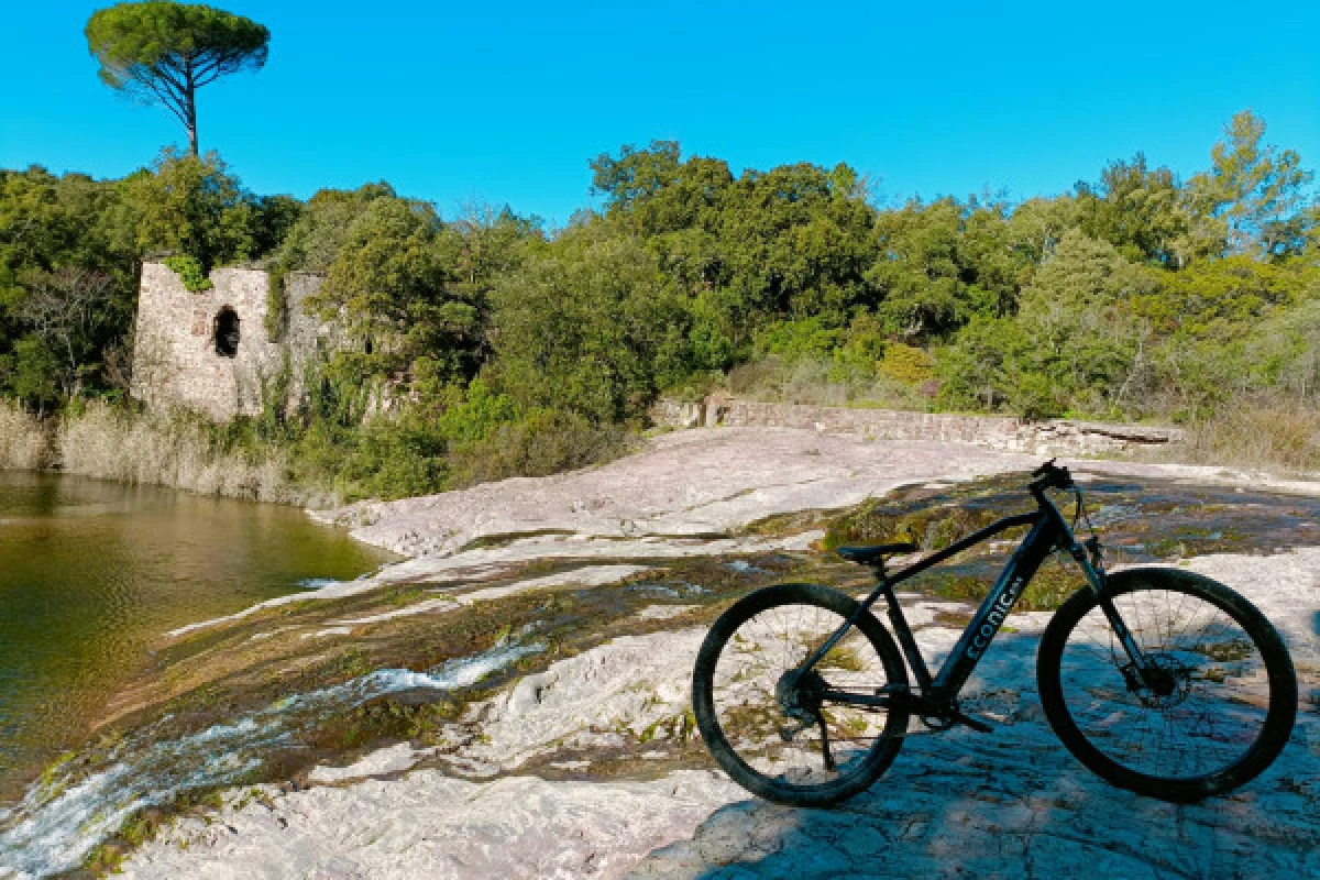 Bike or mountain bike rental - Delivery Saint Raphaël/Fréjus - Bonjour Fun