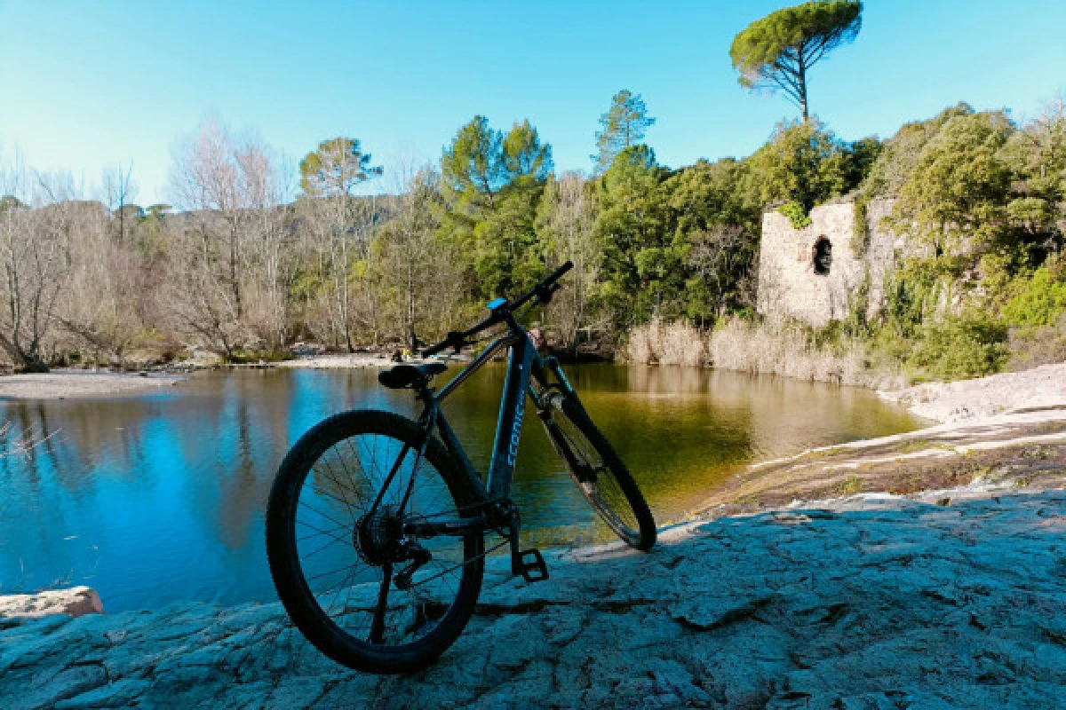 Bike or mountain bike rental - Delivery Saint Raphaël/Fréjus - Bonjour Fun