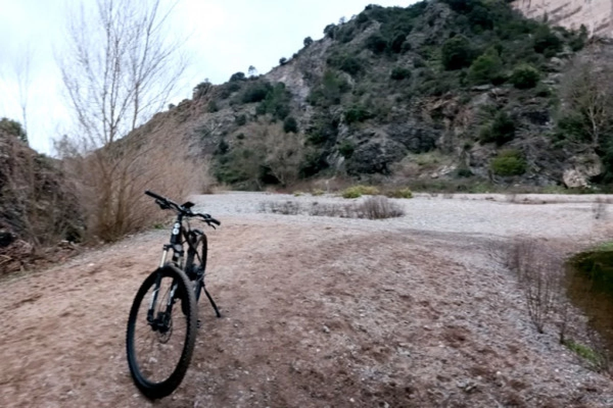 Bike or mountain bike rental - Delivery Saint Raphaël/Fréjus - Bonjour Fun