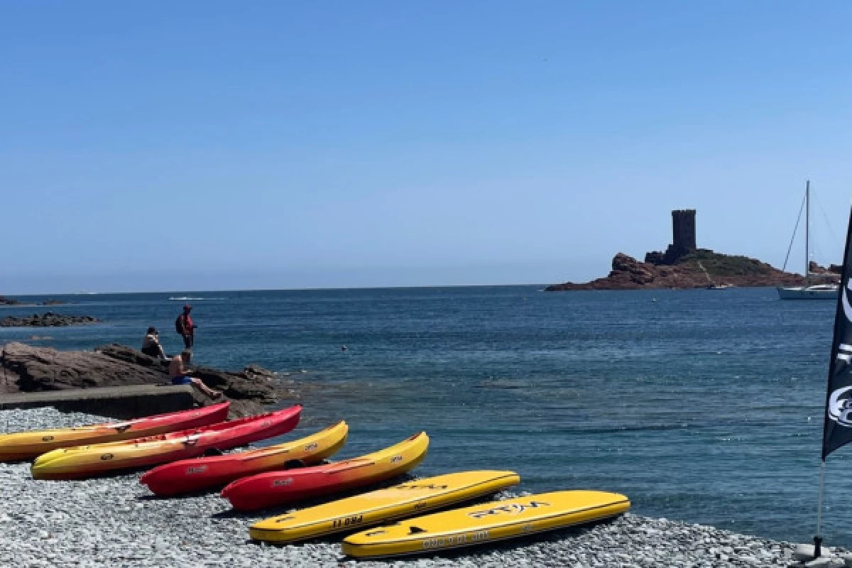 Paddle rental - In front of the Ile d'Or - Bonjour Fun