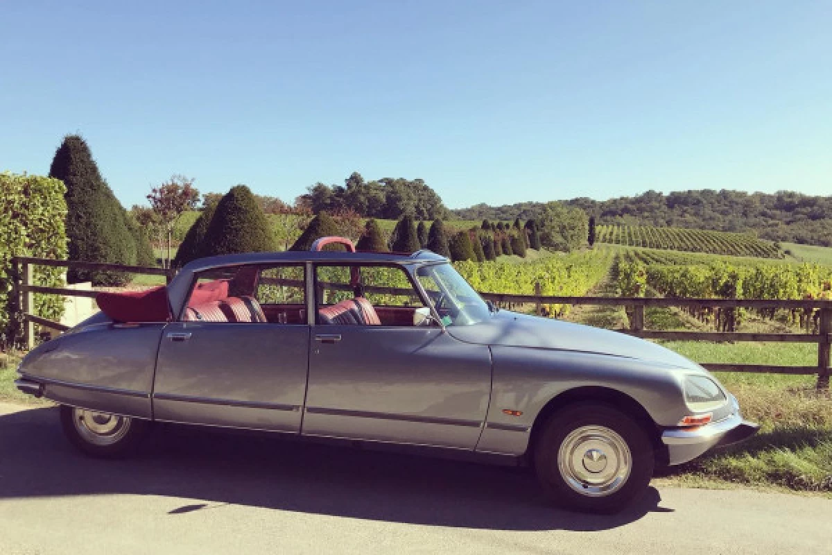 Luxury private tour of Bordeaux and vineyards - Bonjour Fun