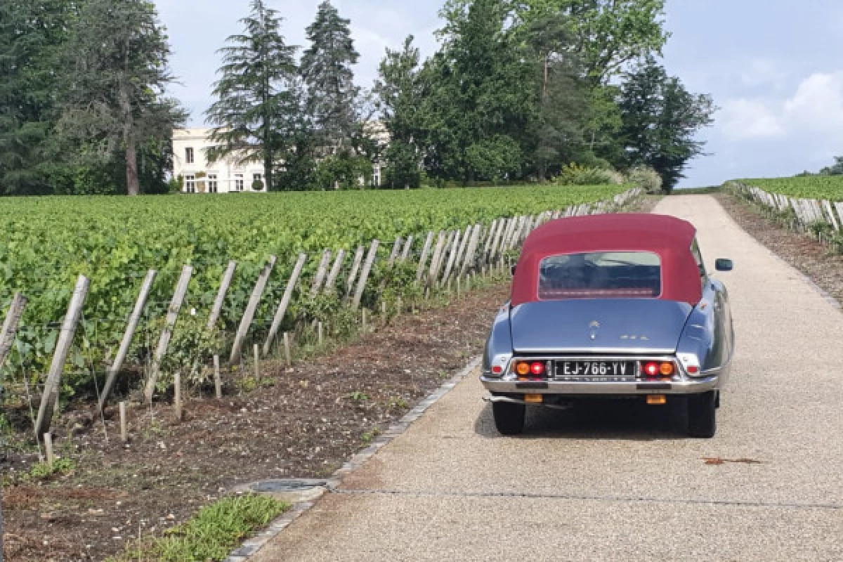 Luxury private tour of Bordeaux and vineyards - Bonjour Fun