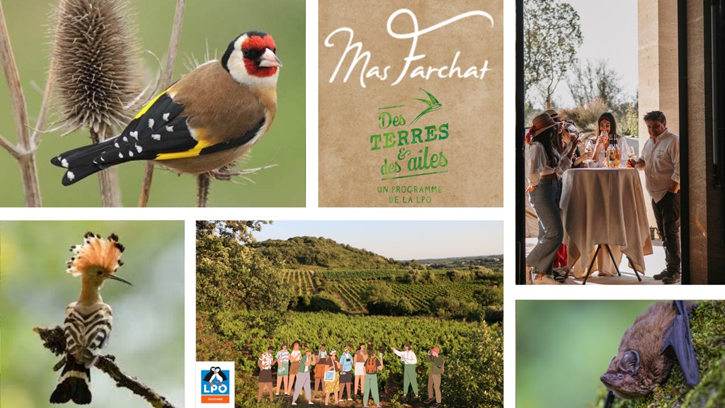 Biodiversité & Pause Gourmande - Bonjour Fun