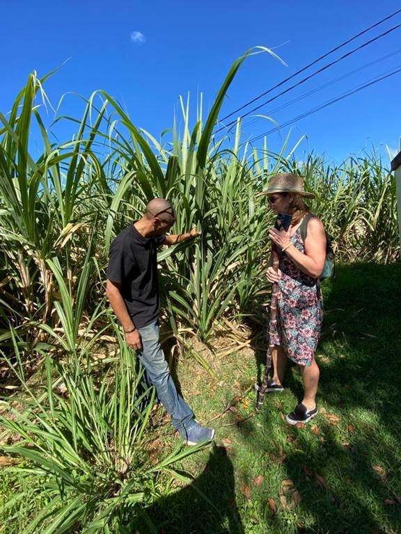 Master class gastronomique - Bonjour Fun