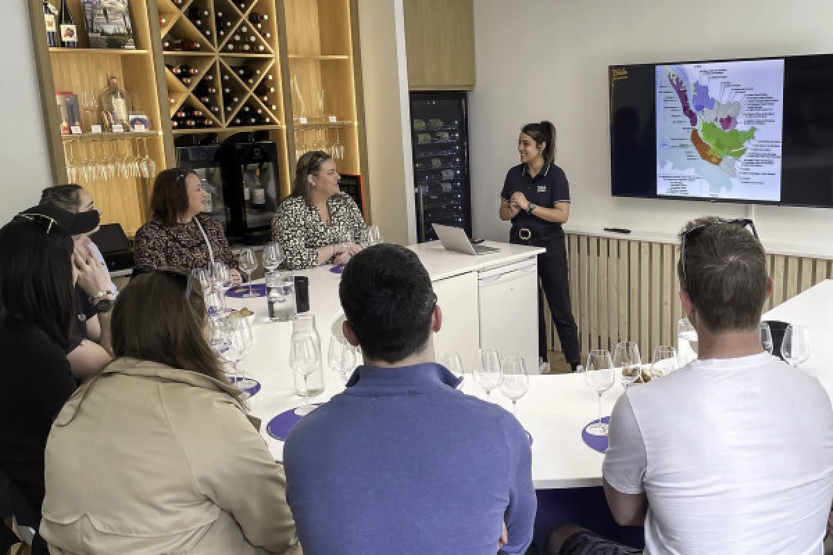 Masterclass - Bordeaux wines - Bonjour Fun