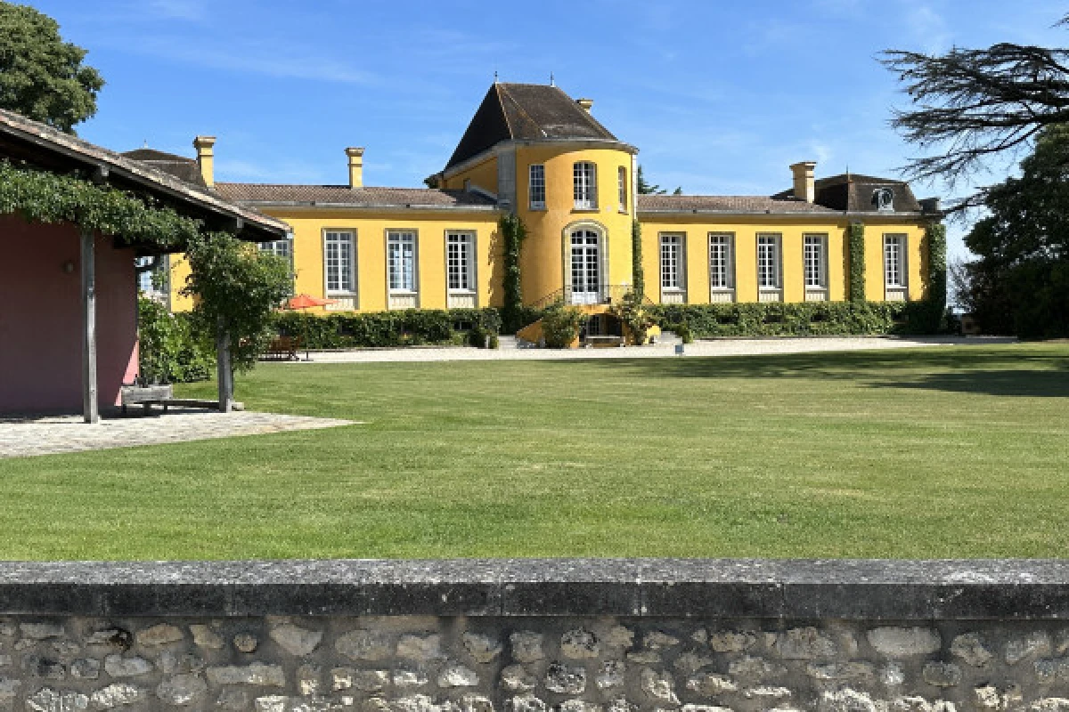 Medoc tour in a small group (Luxury Mercedes EQV) - Bonjour Fun