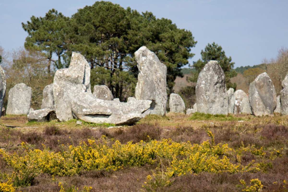 The tour of the menhirs on the little train - Bonjour Fun