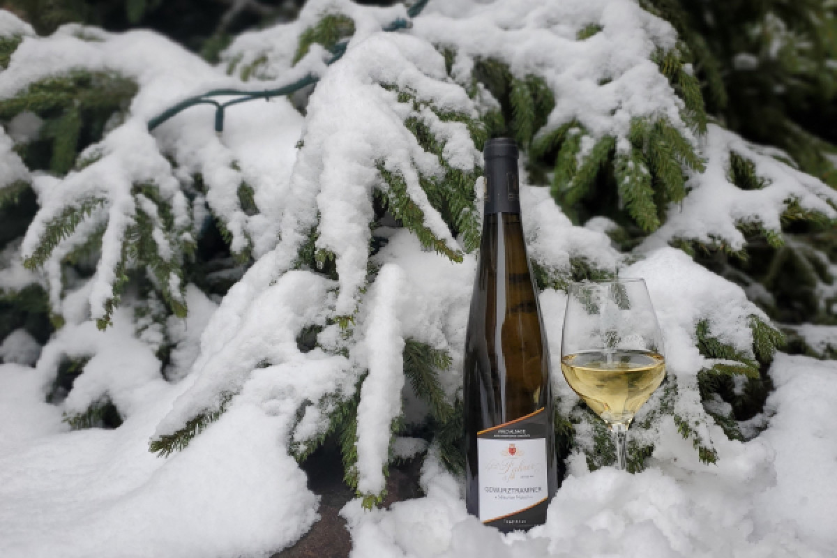 Merienda navideña. Tour y degustación - Bonjour Fun