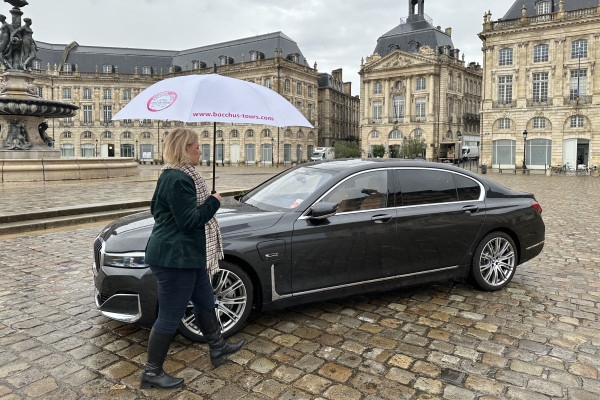 Vehicle and chauffeur at your service (6/8 hrs - Night) - Bonjour Fun