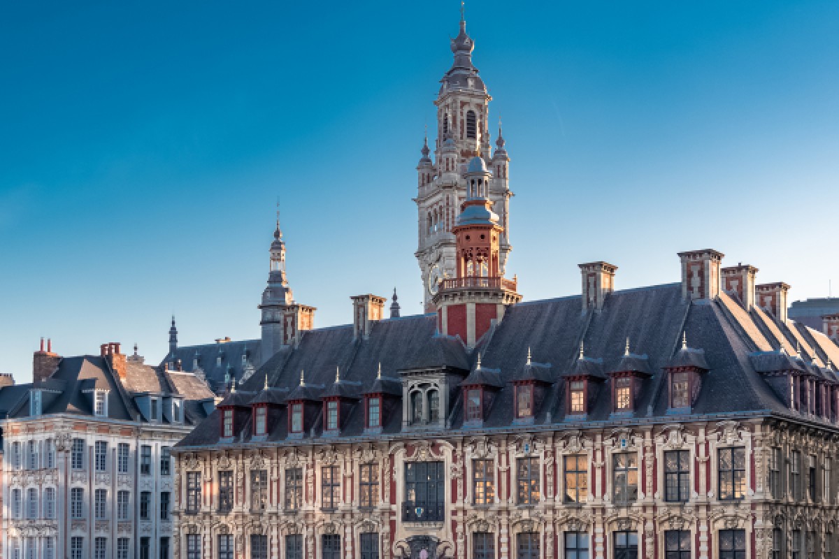 BIRTHDAY MISSION LILLE - Bonjour Fun