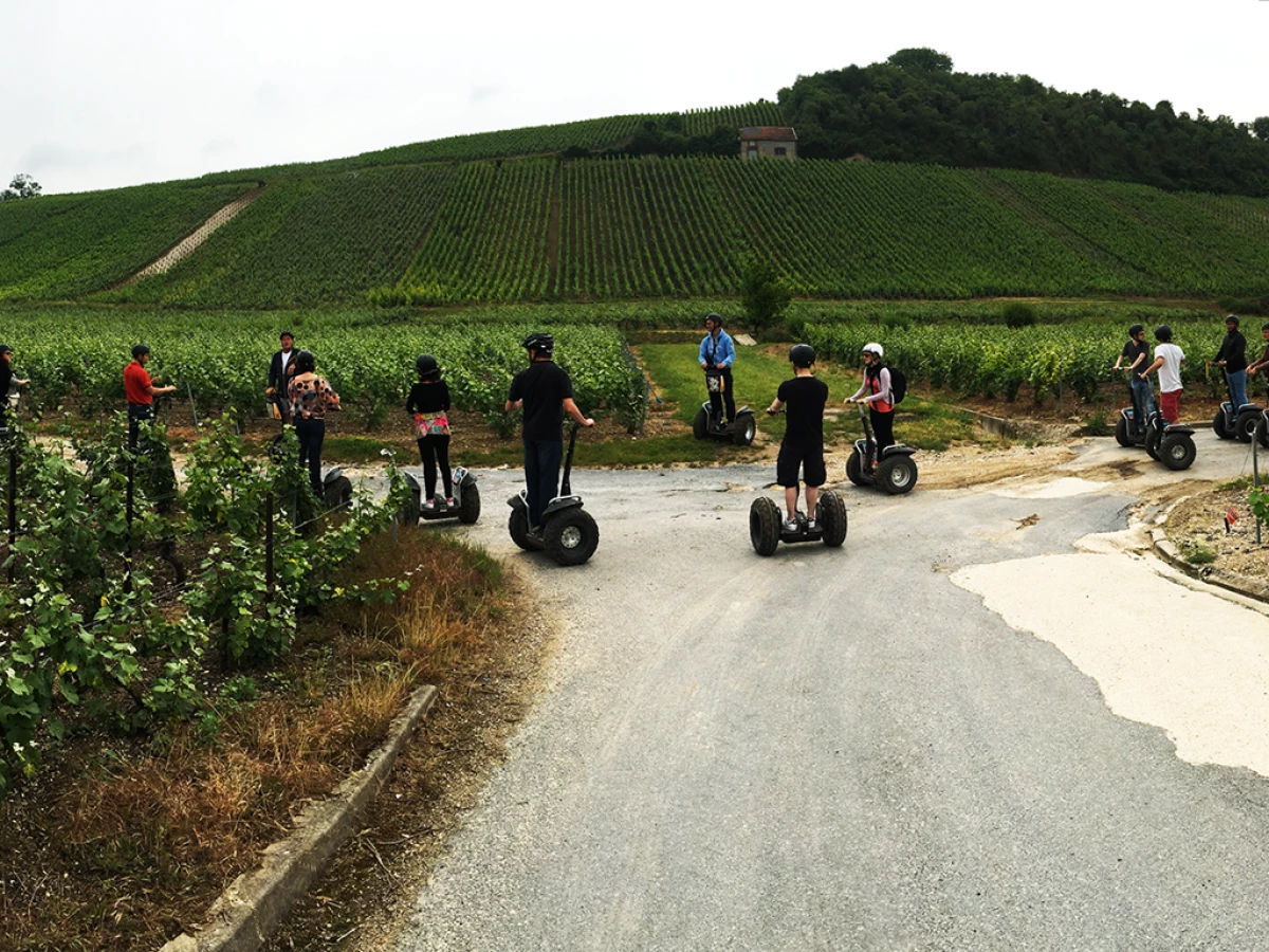 Mobilboard Reims - Bonjour Fun