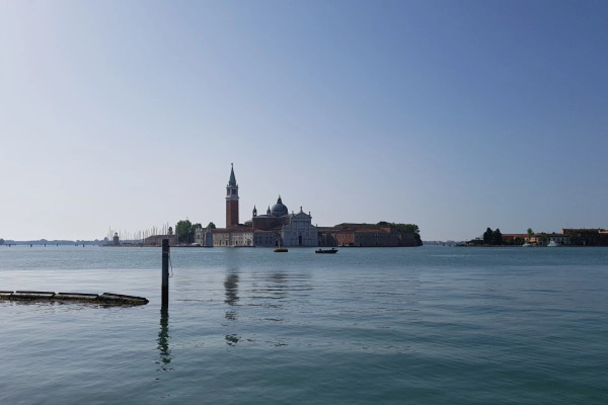 MORNING WALK - DESERT VENICE - Bonjour Fun