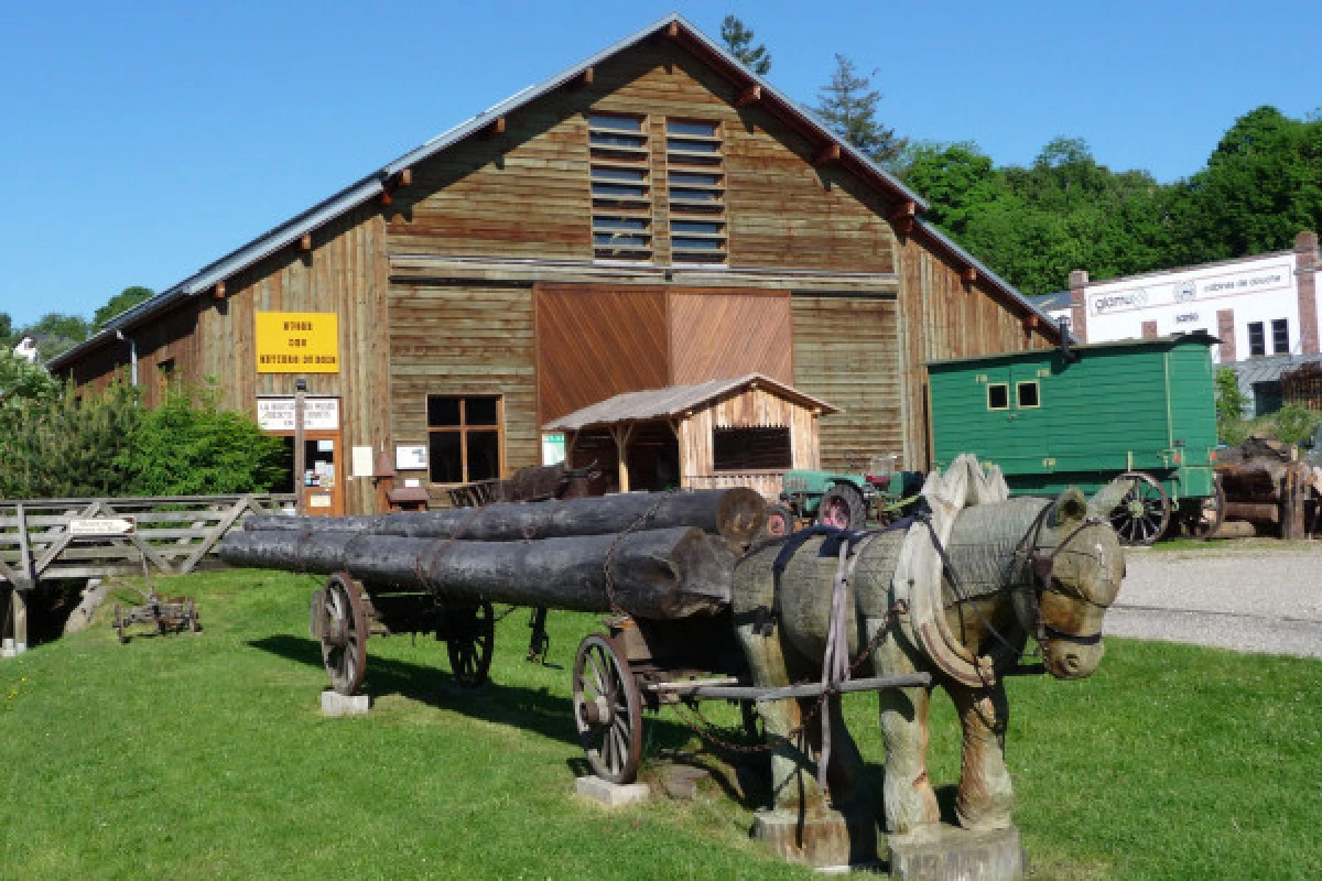 Woodcrafts Museum : Guided tour - Bonjour Fun