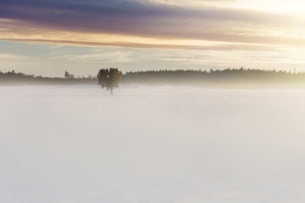New Year's Day walk at Champ du Feu - Bonjour Fun