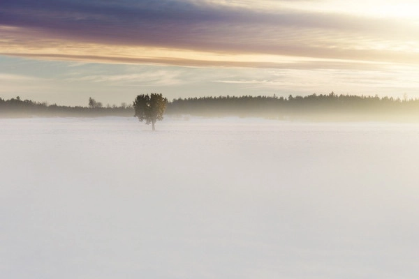 New Year's Day walk at Champ du Feu - Bonjour Fun