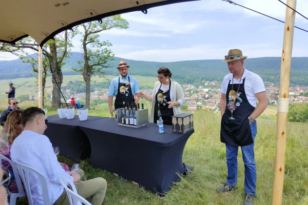 ORSCHWIHR #1 - Workshop - Grand cru Pfingstberg VS Lieu Dit Bollenberg - Bonjour Fun