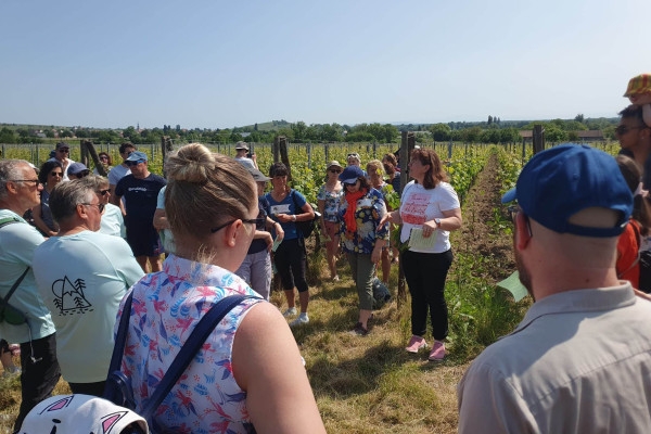 Dare to Alsace Wine with a Feminine Touch & winegrower's picnic - Bonjour Fun