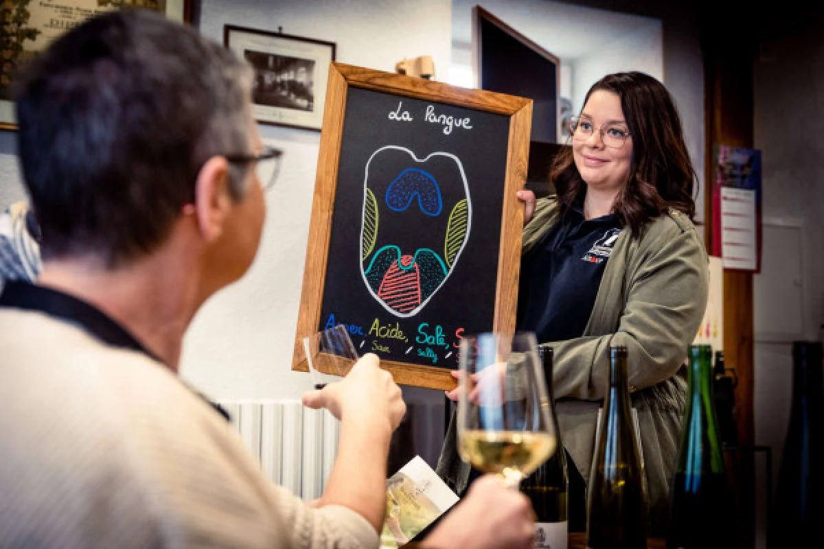 Parenthèse Vigneronne 'awaken your 5 senses' - tasting - Bonjour Fun