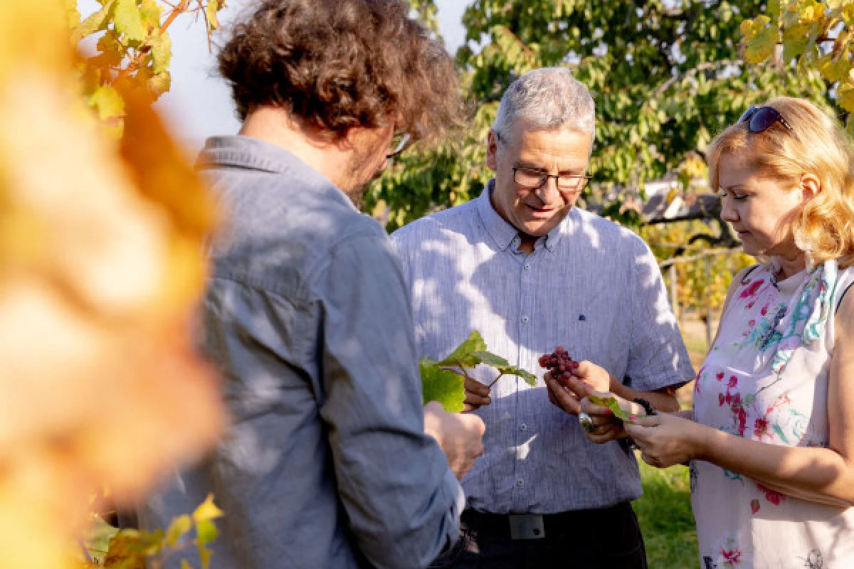 Parenthèse Vigneronne 'Kaefferkopff : a story of a Grand Cru' - tasting - Bonjour Fun