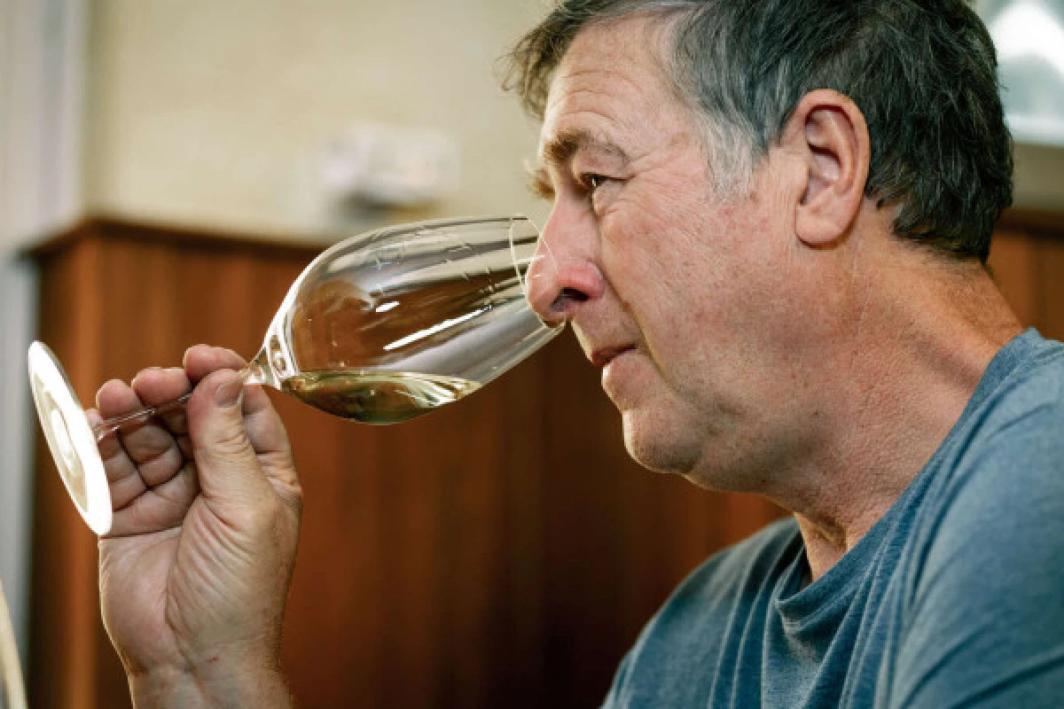 Parenthèse Vigneronne "Qi Gong amongst the vines" - tasting - Bonjour Fun