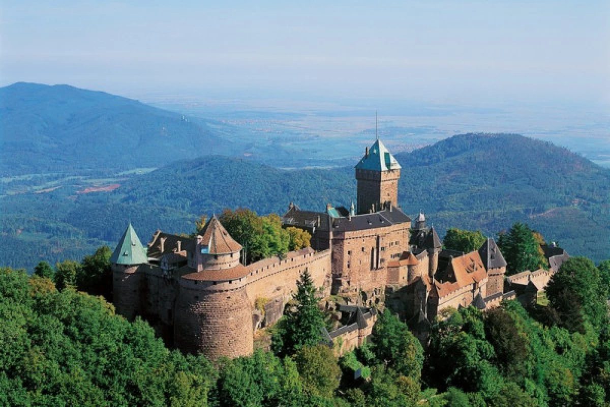 Pass'Alsace : visit Alsace from north to south - Bonjour Fun