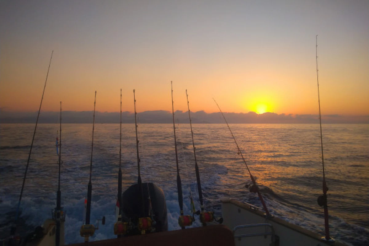 Night fishing for squids and nocturnal fishes - Fréjus - Bonjour Fun