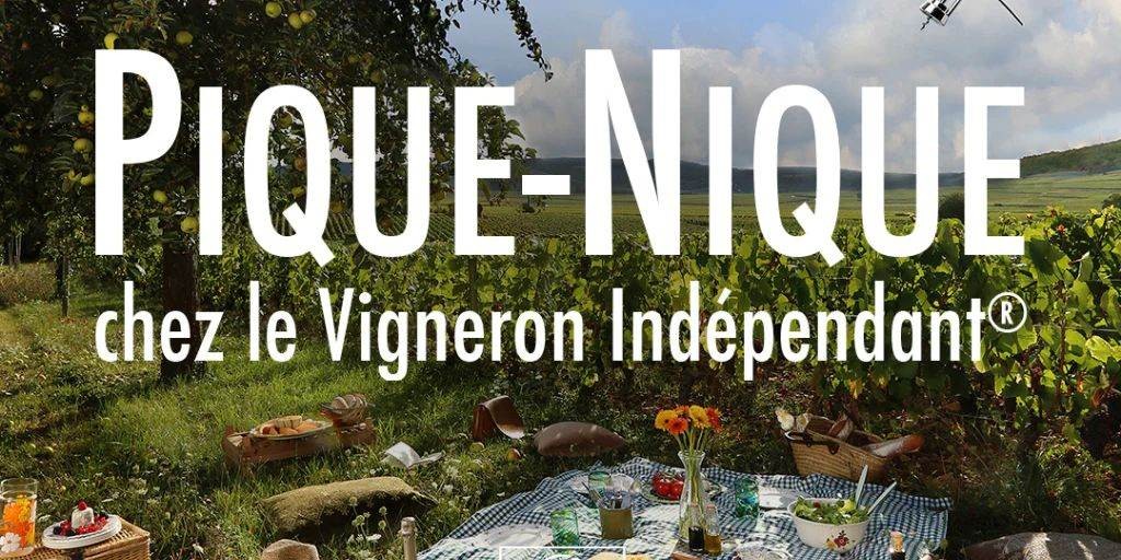 1/2 Journée - Pique Nique chez le Vigneron 7 , 8 et 9 Juin - Bonjour Fun
