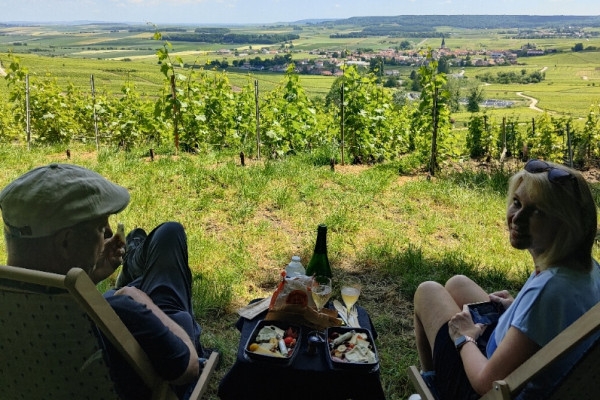 The must-see: Picnic and Champagne tasting - Bonjour Fun