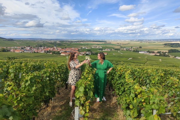 The must-see: Picnic and Champagne tasting - Bonjour Fun