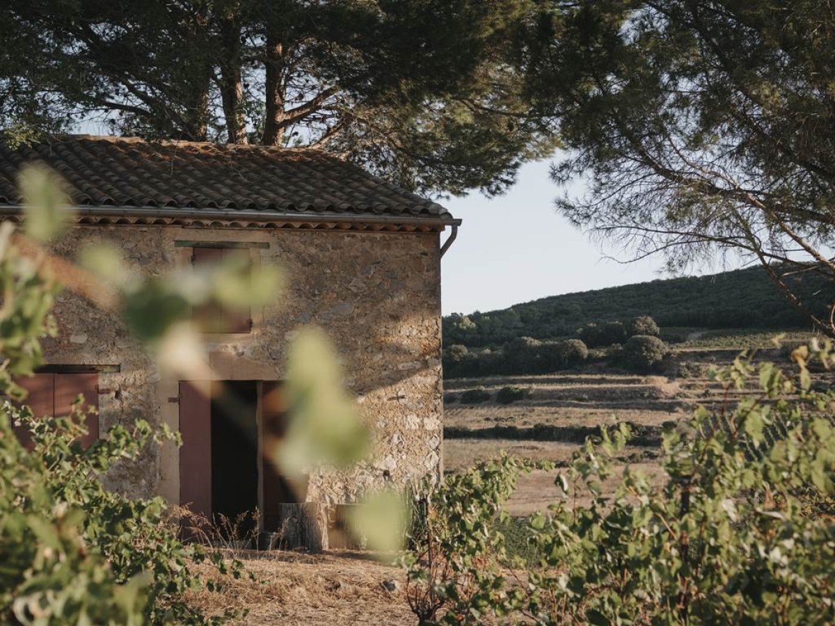 Pique Nique des Vignerons Indépendants - Bonjour Fun