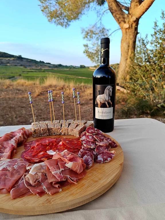 Portes Ouvertes - Bonjour Fun