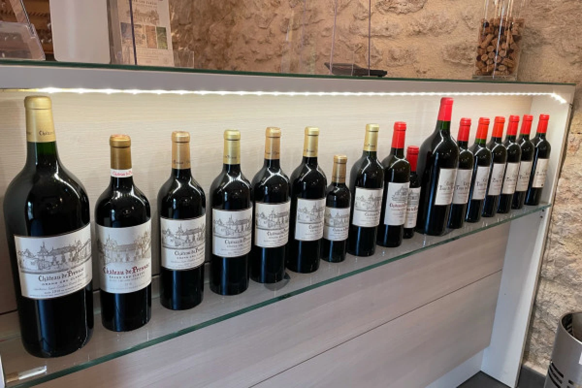 Private day tour from St-Emilion (Minivan or Sedan) - Bonjour Fun