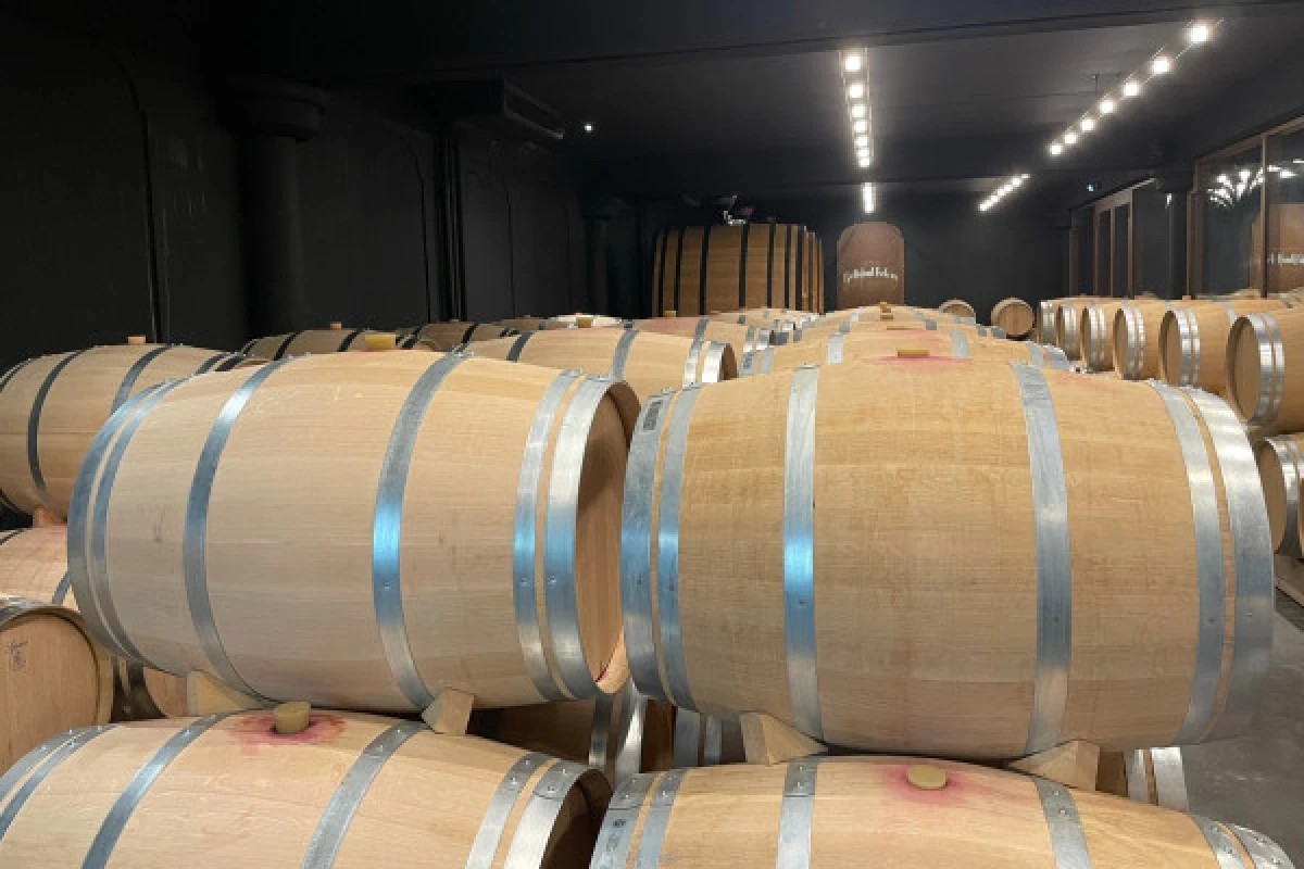 Private day tour from St-Emilion (Minivan or Sedan) - Bonjour Fun